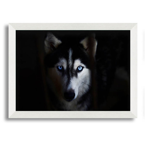 Alpen Home Bodalla Husky Dog Wolf Face Single Picture Frame Art